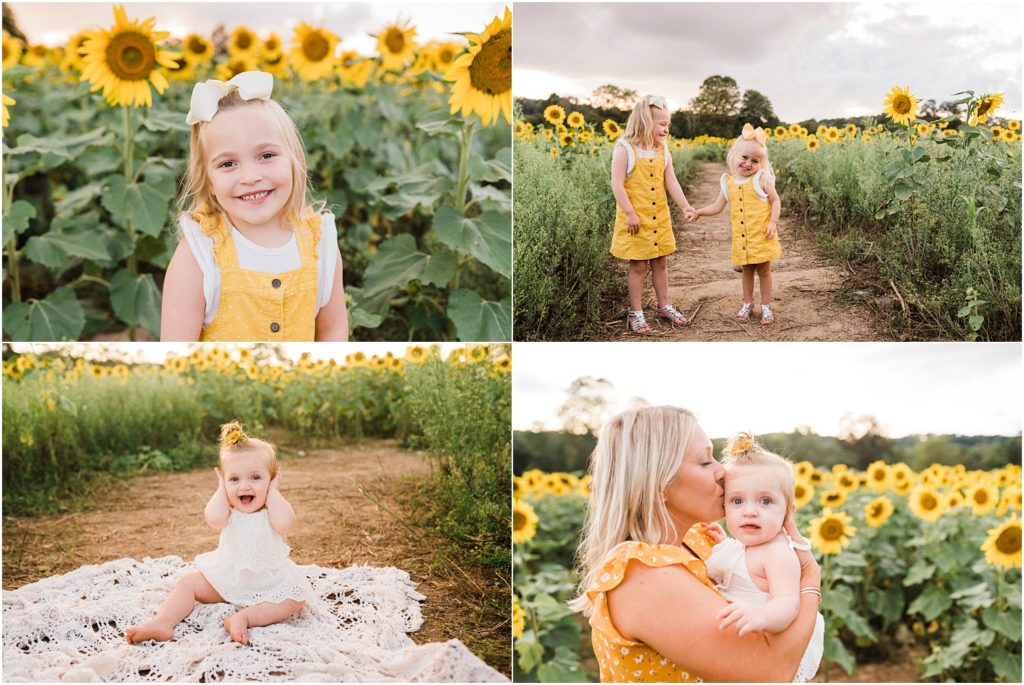 Sunflower Family Photo sessions by Renee Ash Photography at the Sussex County Sunflower Maze, Sandyston NJ 