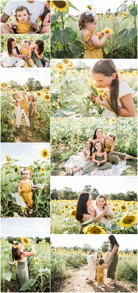 Family session with three sisters at the sussex county sunflower maze in Sandyston NJ. Photos by Renee Ash photography, New Jersey photographer
