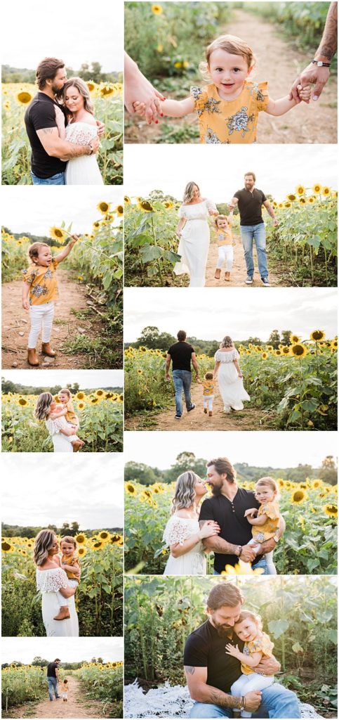 Engagement session and family session at the sussex county sunflower maze in Sandyston NJ. Photos by Renee Ash photography, New Jersey photographer
