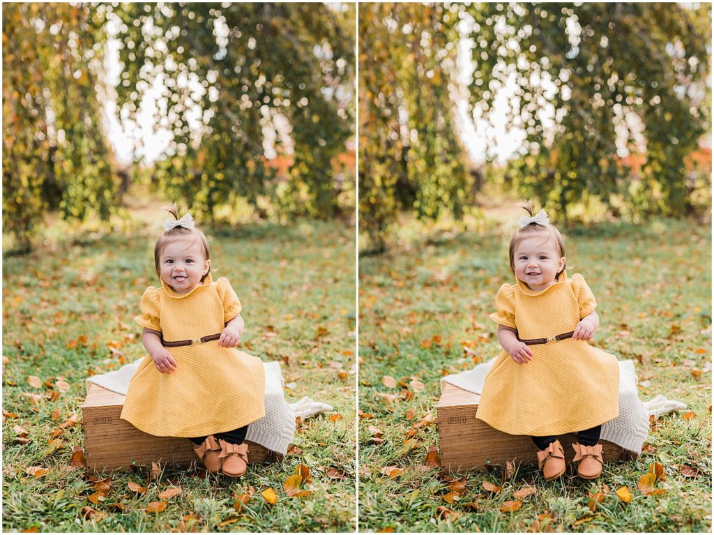 first birthday pictures with a one year old girl in the fall leaves in October. Central Park of Morris Plains New Jersey Family photographer Renee Ash Photography