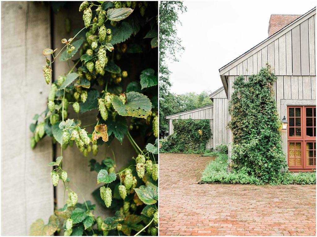 Hops growing up the side of the building at Waterloo Village Wedding Venue  New Jersey Renee Ash Photography