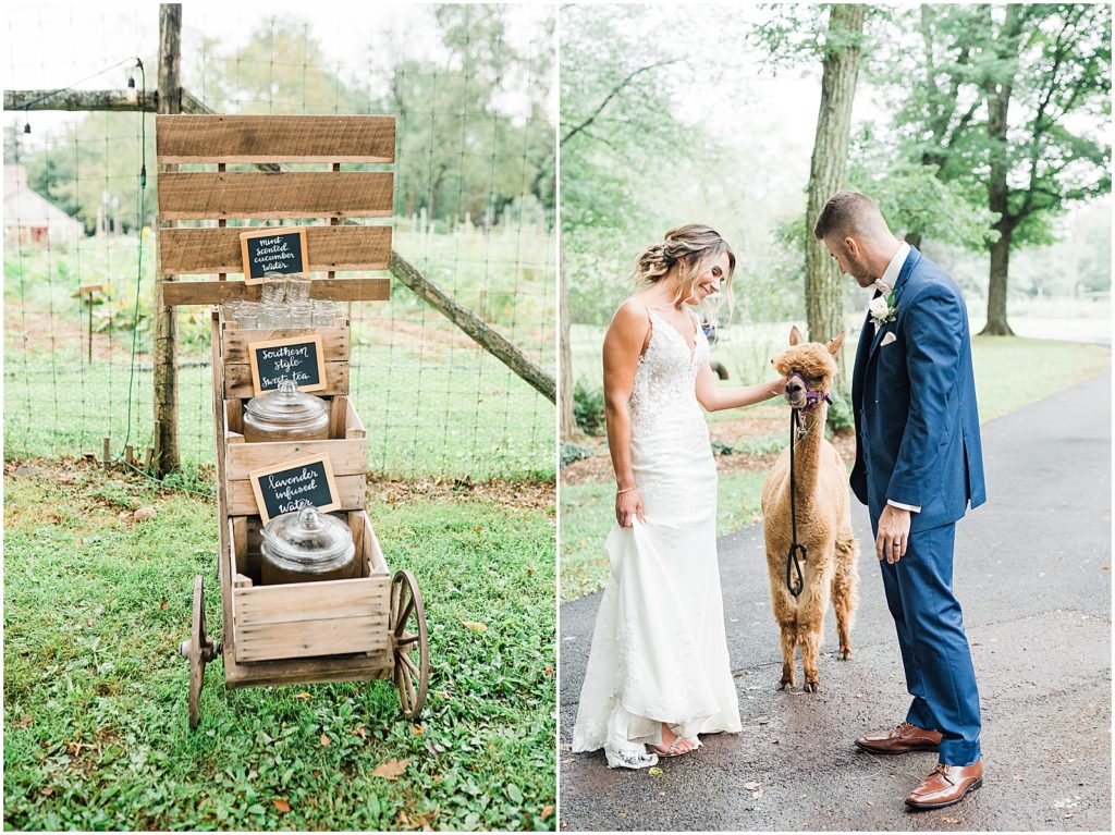 Waterloo Village Garden Wedding Venue with southern charm and hospitality. Alpacas bride and groom photo. Renee Ash Photography