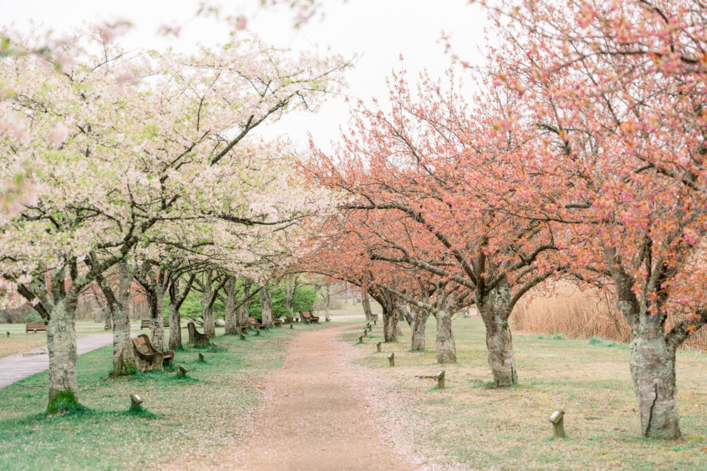 NJ Spring Family Pictures at Horseshoe Lake Park - Renee Ash Photography 