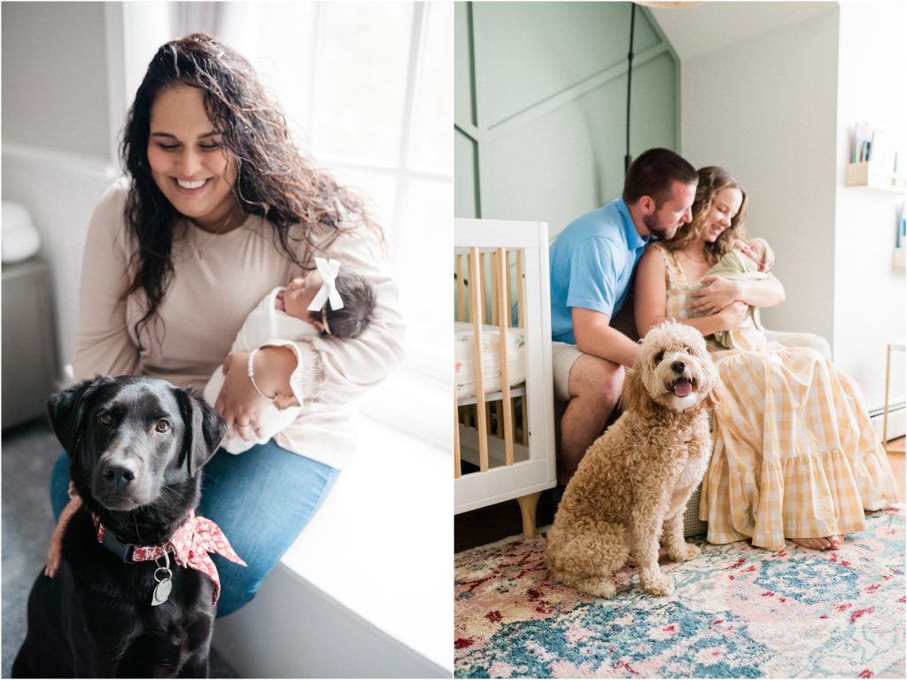 in home newborn photoshoot with the family dog. New Jersey Newborn photographer. | Renee Ash Photography