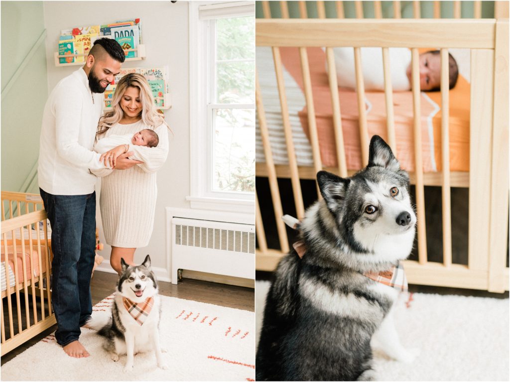 new jersey newborn pictures with the family dog. 