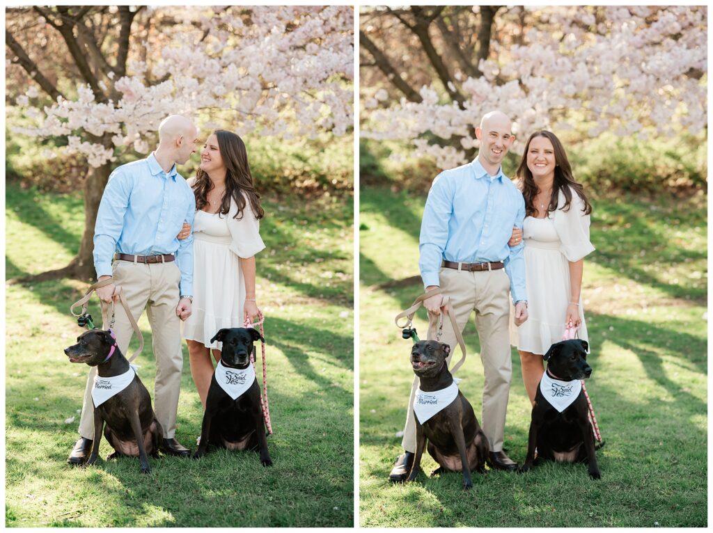 Cherry Blossom Engagement Photos at Branch Brook Park New Jersey 