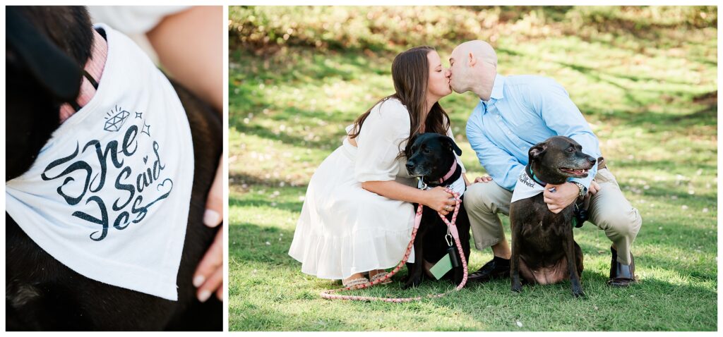 Cherry Blossom Engagement Photos with dogs at Branch Brook Park New Jersey