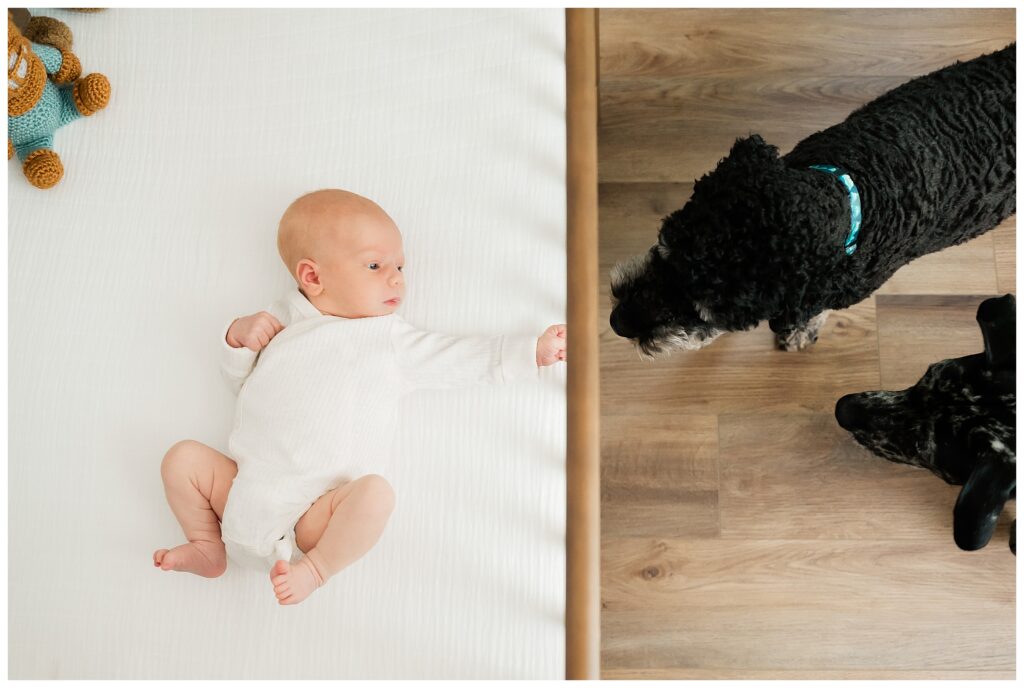 baby pictures with a dog in home at Lake Mohawk NJ north nj newborn photographer