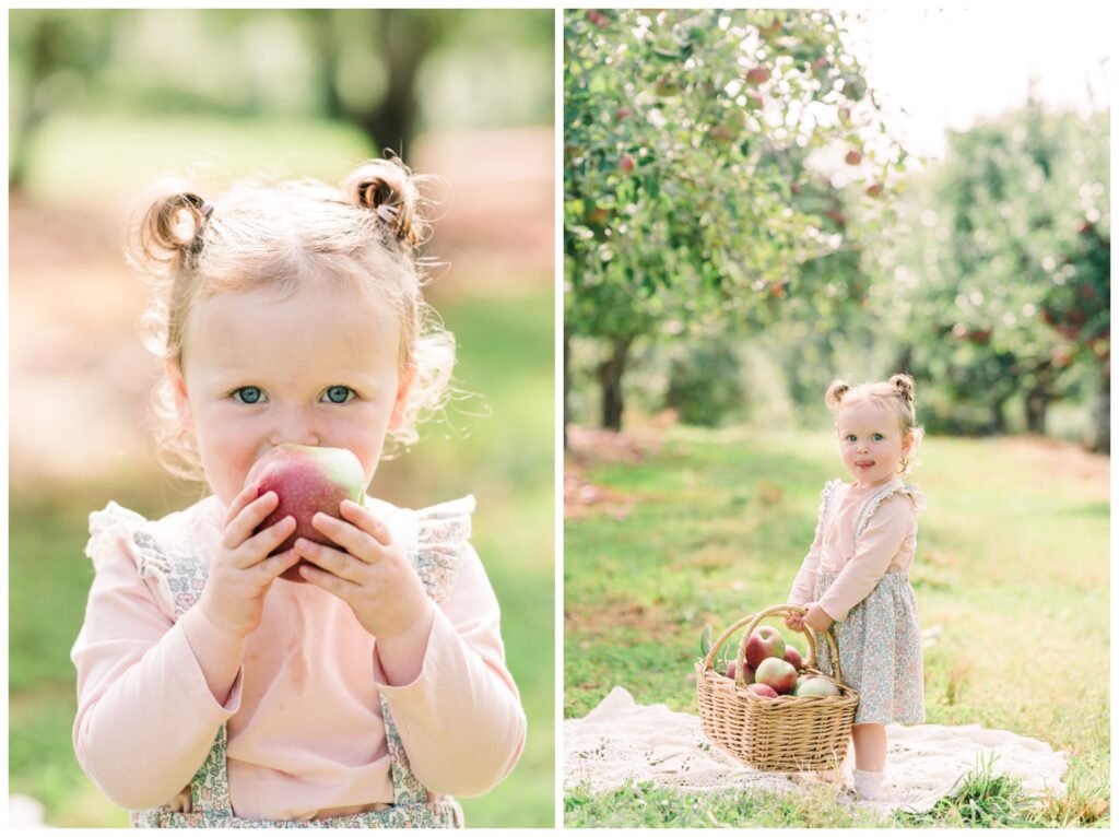 Warwick NY apple picking - Renee Ash Photography