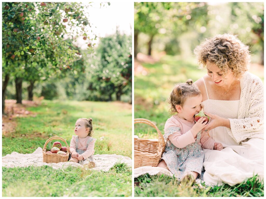 Warwick NY apple picking photo session - Renee Ash Photography