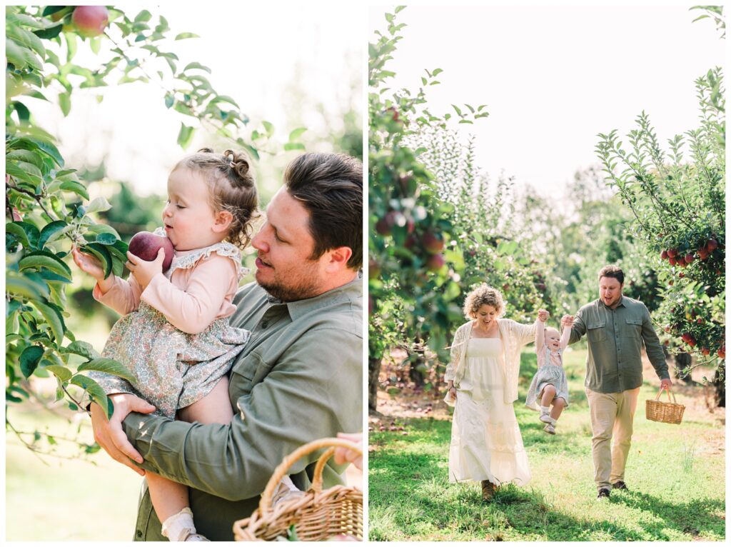 Sussex county New Jersey Apple Picking pictures - Renee Ash Photography