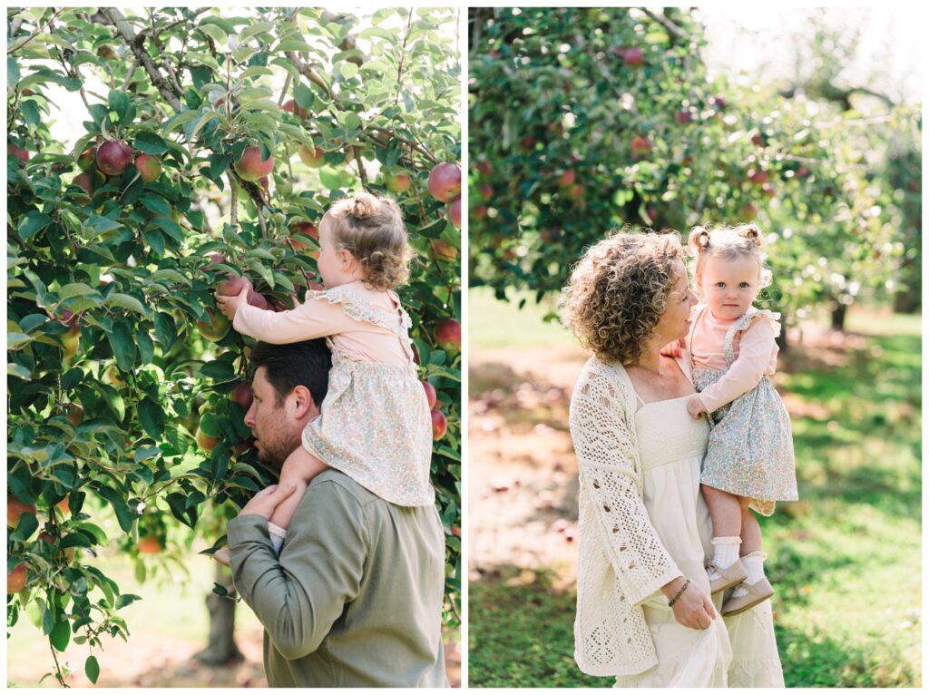 Sussex county nj  apple picking photo session - Renee Ash Photography