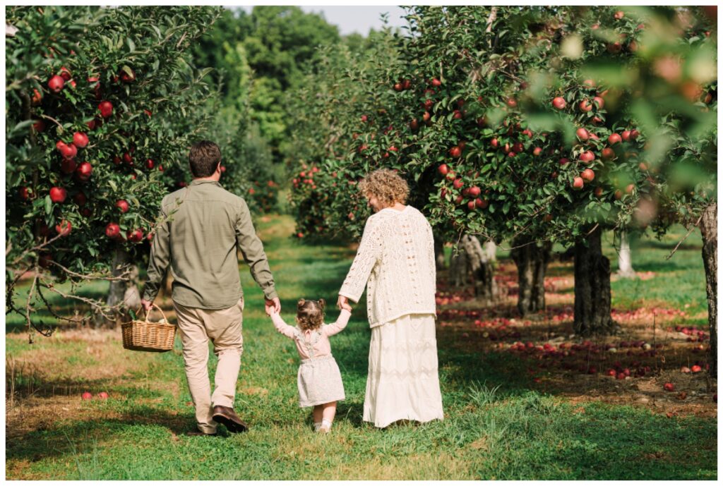 Morris county  nj  apple picking pictures - Renee Ash Photography