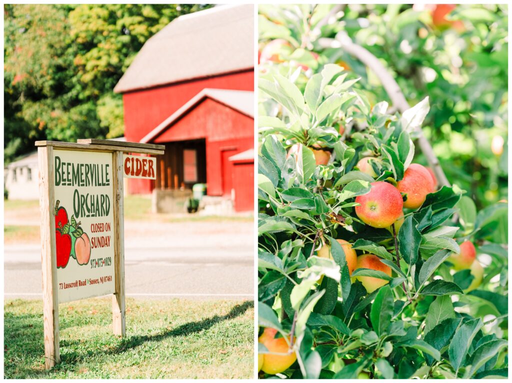 Sussex County NJ apple picking - Renee Ash Photography