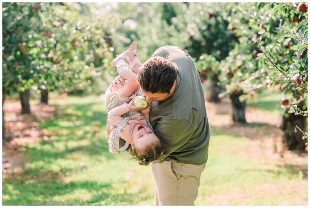 Sussex County NJ apple picking - Renee Ash Photography