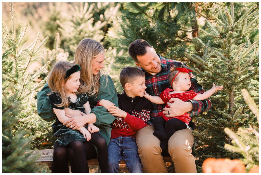 2025 Christmas Tree Farm Mini Sessions at Emmerich Tree Farm Warwick NY 