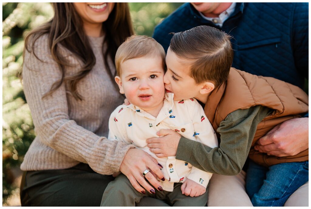 2025 NJ Christmas Tree Farm Mini Sessions 