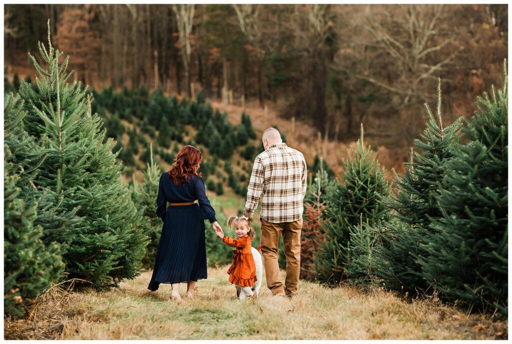 2025 Christmas Tree Farm Mini Sessions at Emmerich Tree Farm Warwick NY 