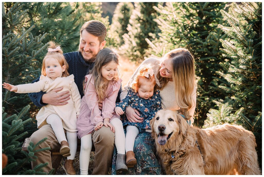 2025 Christmas Tree Farm Mini Sessions at Emmerich Tree Farm Warwick NY 