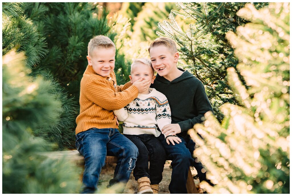 2025 Christmas Tree Farm Mini Sessions at Emmerich Tree Farm Warwick NY 