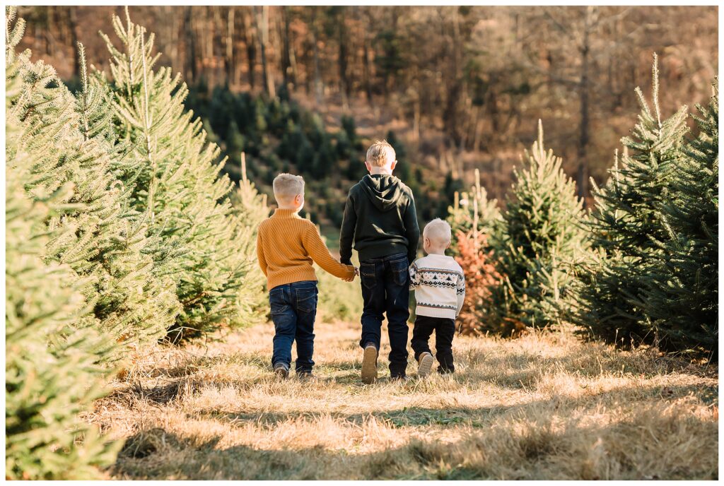 2025 Christmas Tree Farm Mini Sessions at Emmerich Tree Farm Warwick NY 