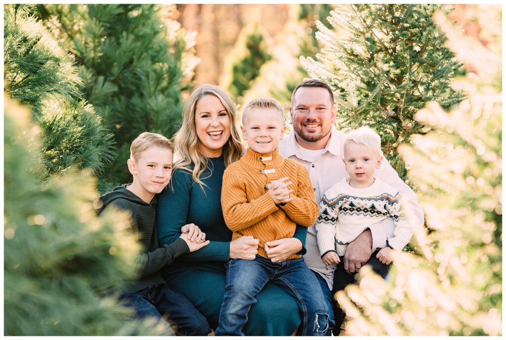 2025 Christmas Tree Farm Mini Sessions at Emmerich Tree Farm Warwick NY 