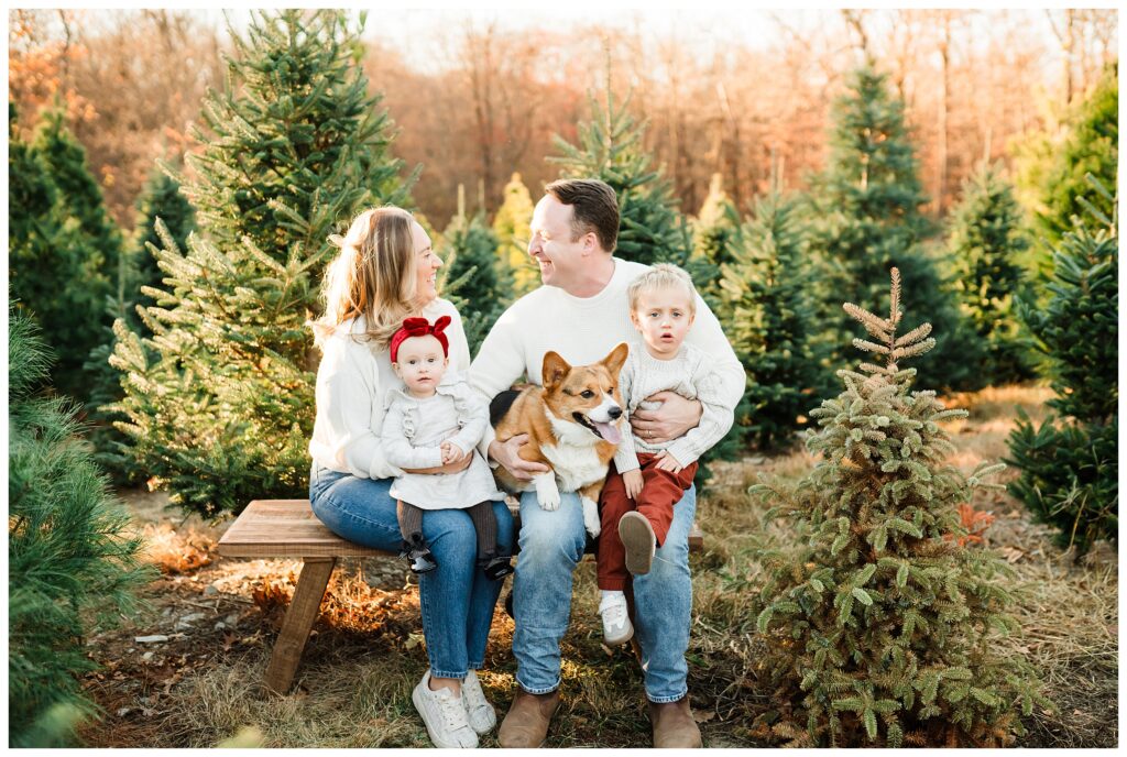 2025 Christmas Tree Farm Mini Sessions at Emmerich Tree Farm Warwick NY 