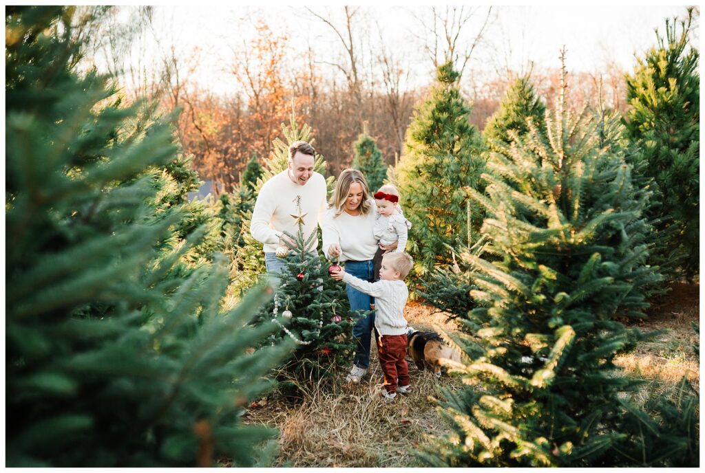 2025 NY Christmas Tree Farm Mini Sessions 