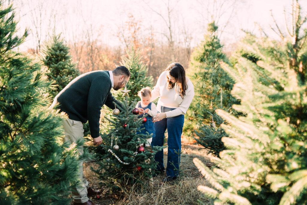 2025 Christmas Tree Farm Mini Sessions at Emmerich Tree Farm Warwick NY 