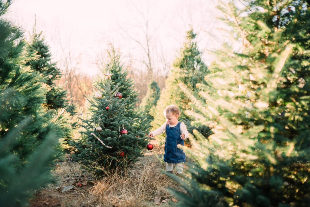 2025 NJ Christmas Tree Farm Mini Sessions 