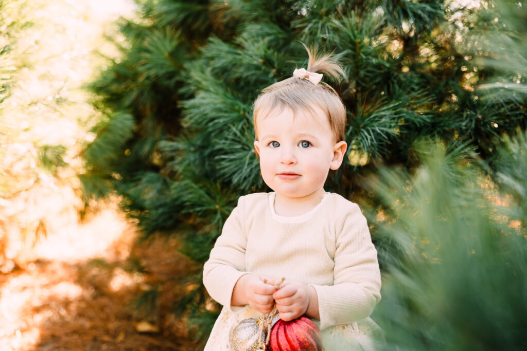 2025 Christmas Tree Farm Mini Sessions at Emmerich Tree Farm Warwick NY 