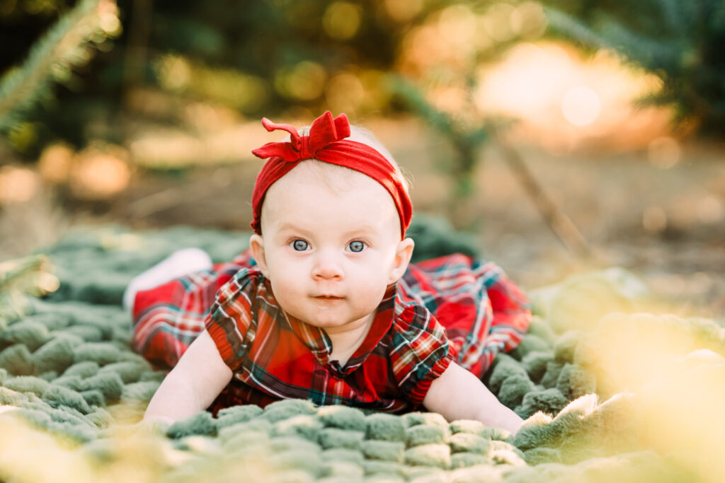 2025 Christmas Tree Farm Mini Sessions at Emmerich Tree Farm Warwick NY 