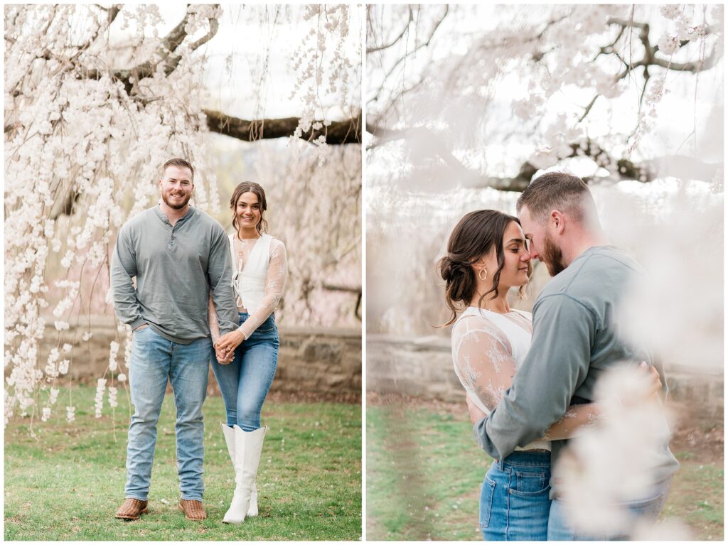 Spring engagement pictures in the cherry blossoms at Skylands Manor Botanical Gardens