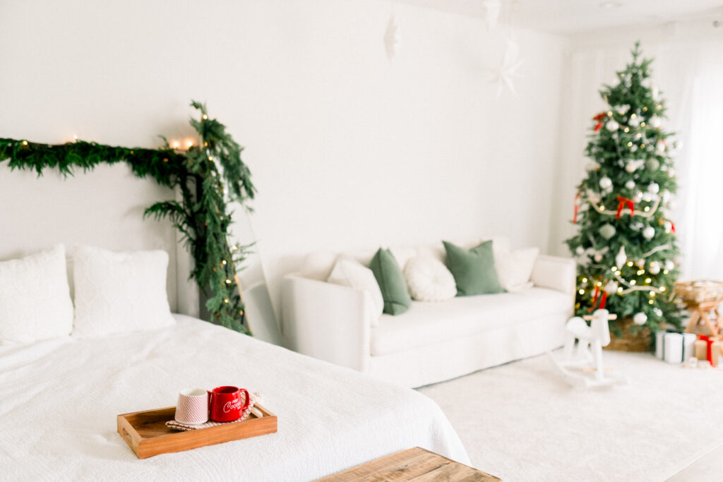 Christmas Mini Sessions in Sussex County NJ & Warwick NY Renee Ash Photography studio in New Jersey 