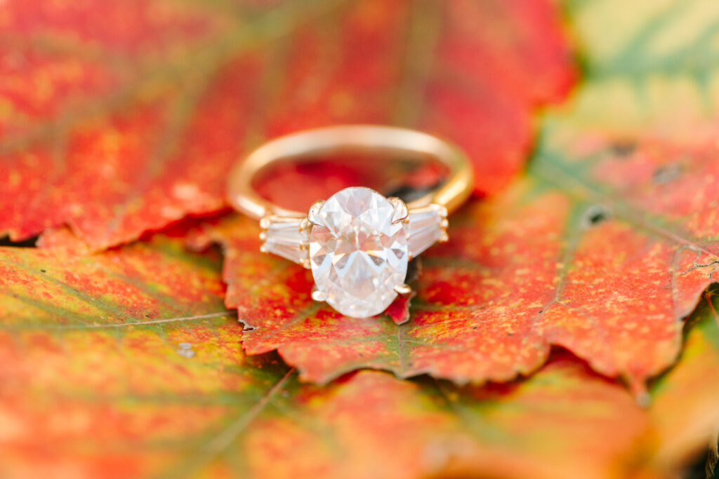 Fall Engagement sessions in north nj