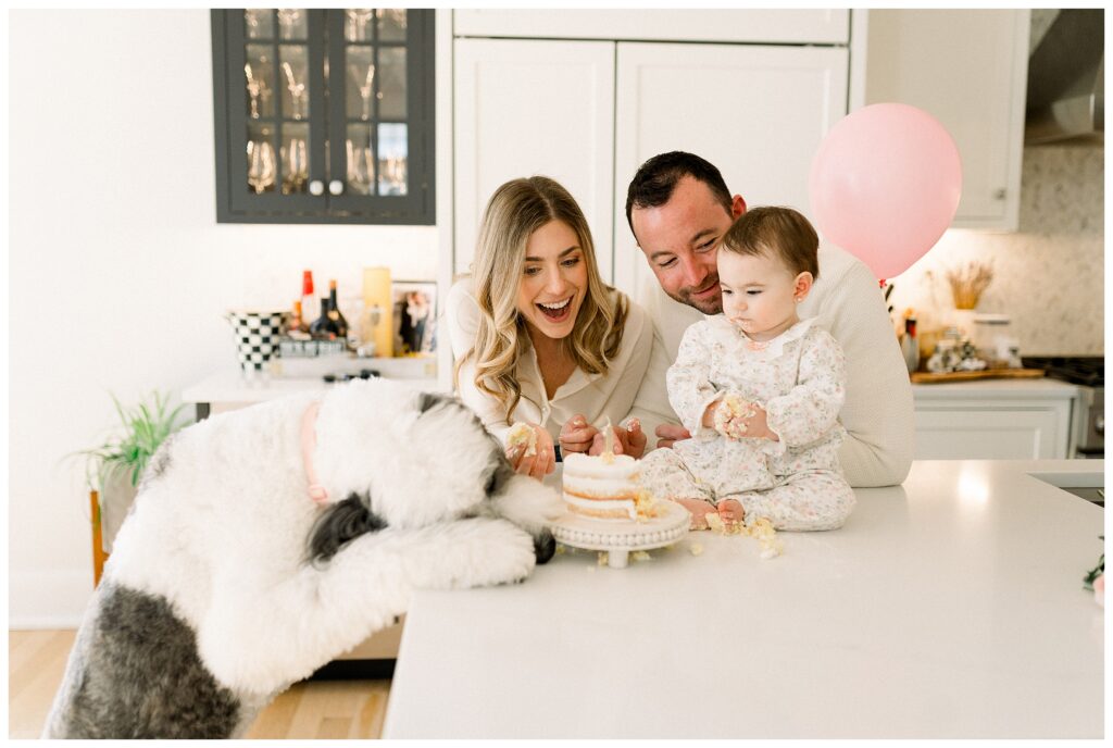 Family dog joining first birthday cake smash at home in Madison NJ
