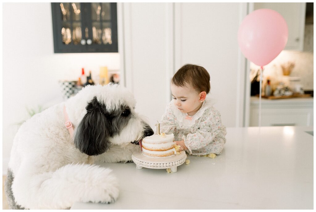 Candid lifestyle photo of baby and dog during first birthday cake smash at home in the kitchen with mom and dad. 