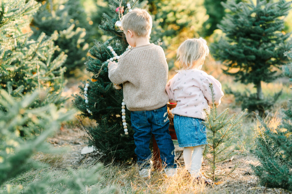 new york and new jersey christmas tree farm mini photo session at emmerich tree farm warwick new york